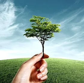 Recycle/ Công nghiệp tái chế